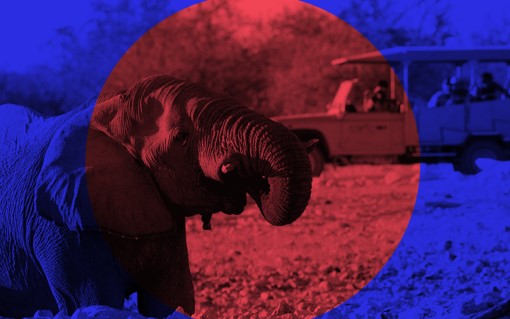 giz_gmbh's tweet photo. Do you want to develop digital business solutions to protect biodiversity in #Namibia? ๐๐ท
Then join the 16th @laboftomorrow Innovation sprint for a #digitalwildlifenamibia! Apply until the 31st of October and find out more here๐: https://t.co/eH2Hq6XJXj https://t.co/zjZYqq3IkK