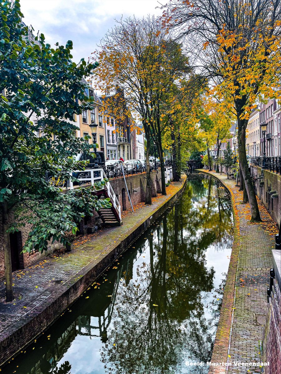 Lekker dan, is het eindelijk herfstvakantie gaat het de rest van de week waaien, druilen, miezeren en grijs zijn. MAAR! Die kleuren! Die graggies! Die bokbiertjes! Die sloten thee! Er zijn weer pepernoten! Wat een leuke week eigenlijk 🍂🥳
