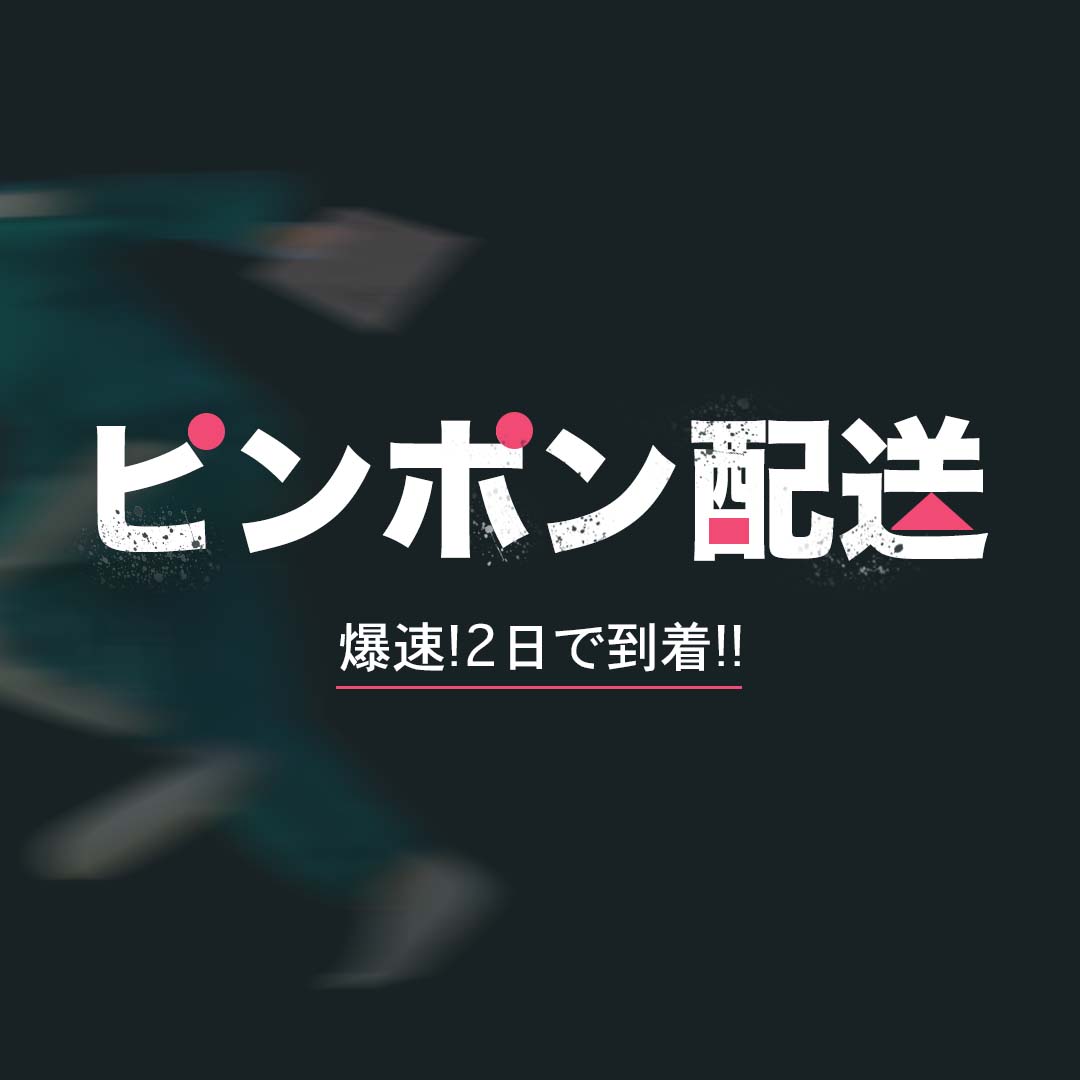 HapaKristin_JP's tweet photo. いまなら2個以上お買い上げで全員ピンポン配送⚡
https://t.co/JwpYXFxYbE https://t.co/wi0naD8bOS