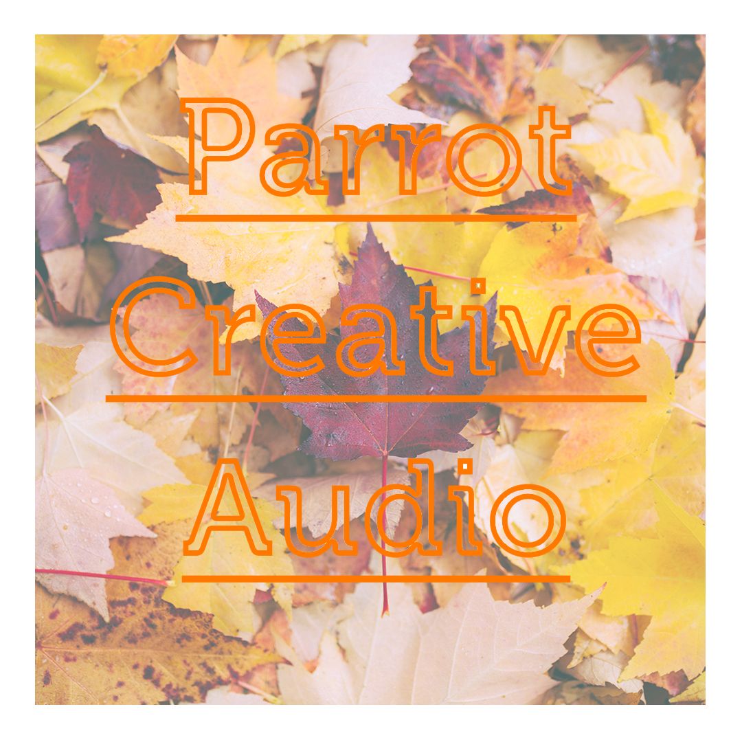 ParrotAudio's tweet photo. Autum is officially here! It's the time of pumpkin spice latte's. But it's also the time when people officially start thinking about Christmas. 

We can help create a Christmas ad for you that stand out! Get in touch today.
#Christmas #pumpkinspice  #Autum #fall #sounddesign #ads https://t.co/0RvjLDwEj3