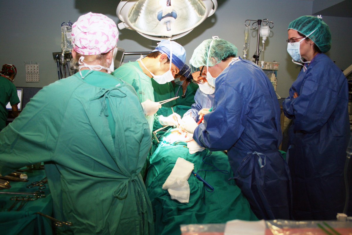 🚑👩‍⚕️👨‍⚕️Ayer realizamos el décimo explante de órganos de este año de <a href="/GVADrPeset/">DS Doctor Peset</a> y batimos nuestro récord a falta de 2 meses y medio para finalizar el año. Con esta nueva donación se ha conseguido salvar 3 vidas. ¡Gracias donantes, gracias familias! ¡Gran trabajo en equipo!