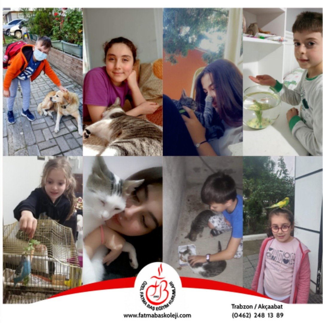 'Mutluluk Dağıtıyoruz' projemizin bu yıl 3.sünü gerçekleştirdik.Öğrencilerimiz küçük dostları için mama ve barınak desteğinde bulundu. Bazı öğrencilerimiz sokak hayvanı sahiplenmenin mutluluğunu keşfetti.☺️🎀💕 

 #özelfatmabaşeğitimkurumları #hayvansevgisi #sokakhayvanı #hachiko