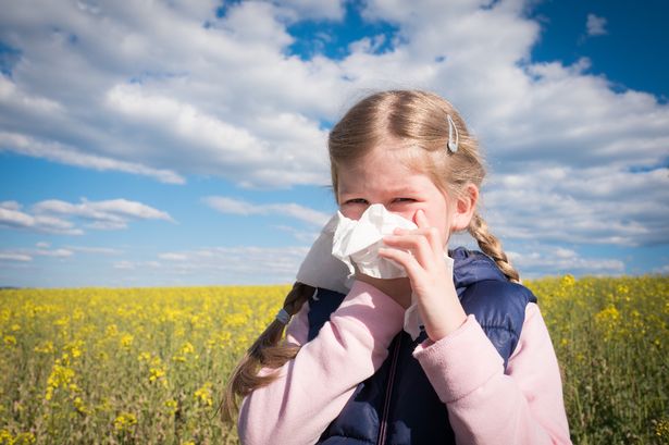 If your business or organization could benefit from enhanced pollen forecasting in 2022, now is the time to prepare for next year's allergy season 👇🤧 blog.breezometer.com/10-reasons-why…

#healthcare #Pharmaceutical @FluoLabsInc @GA2P2 @AllergyUK1 @ZirtekIE @ARK_uk1 @AtlAsthma @AllergyATX