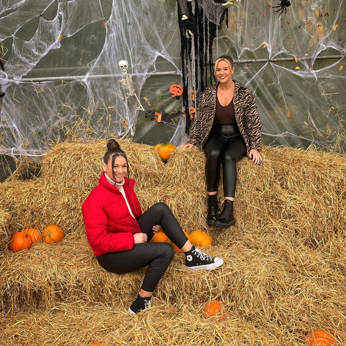 𝑬𝒃𝒐𝒏𝒚-𝐄𝐯𝐞 𝑹𝒐𝒈𝒆𝒓 tweet media