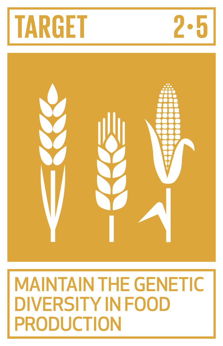 LinkSDG's tweet photo. Hunger is the leading cause of death in the world. Our planet has provided us with great resources, but unequal access and bad handling leaves millions of people malnourished. https://t.co/YXWSv8IejP