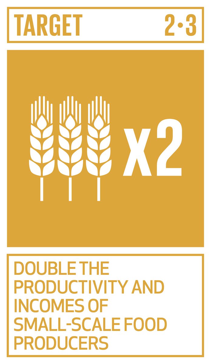 LinkSDG's tweet photo. If we promote sustainable agriculture with modern technologies and fair distribution systems, we can sustain the whole world’s population and make sure that nobody will ever suffer from hunger again.
 #sustainable #agriculture #LinkSDG #hunger https://t.co/t3RFlPHEsa