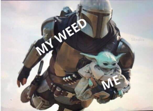 Hashstronautx tweet media