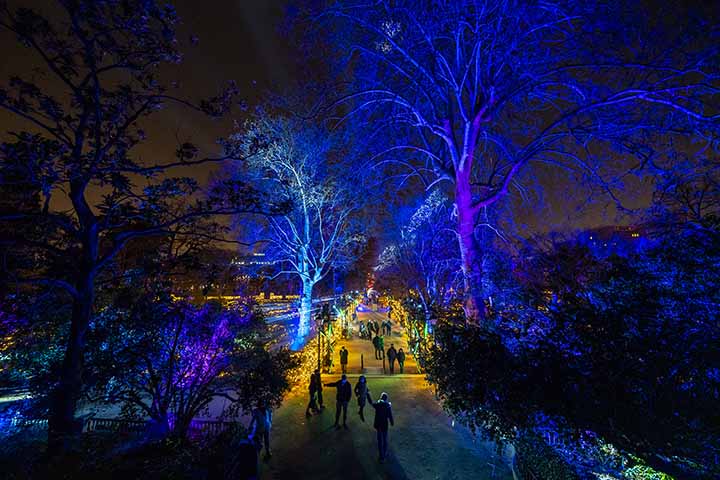 PeopleFm_Spain's tweet image. Vuelve #NaturalezaEncendida de la mano de @LetsGoCompany al @RJBOTANICO desde el 2 de noviembre. Toda una experiencia envuelta en la magia de la naturaleza. En esta ocasión podrás disfrutar de #Explorium un viaje a a lugares remotos.

¡No te lo pierdas!