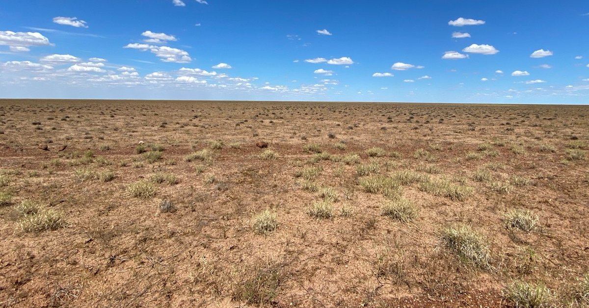 There has been widespread death of Mitchell grass tussocks on the Barkly Tablelands after several years of poor rainfall across the region. 

To find out what this means for stocking rates and what can be done to minimise land condition decline, read this: bit.ly/3DL61Yv