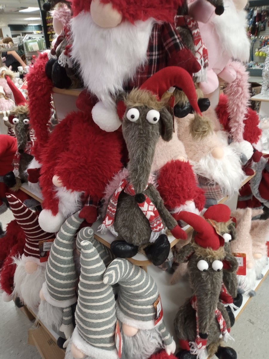barnitts's tweet photo. "It's beginning to look a lot like Christmas".... https://t.co/7FcXuFTzg5