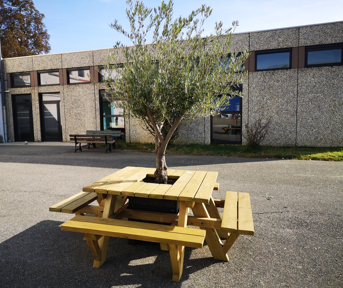 ClgHubertReeves's tweet photo. Dans le cadre du projet #7000arbres initié par @pmartin_32 et @LeGers32, la mise en valeur des oliviers avec la réalisation de cette table par l'IMPRO de Pauilhac en lien avec les élèves du dispositif ULIS du @ClgHubertReeves. https://t.co/sSraesIvx6
