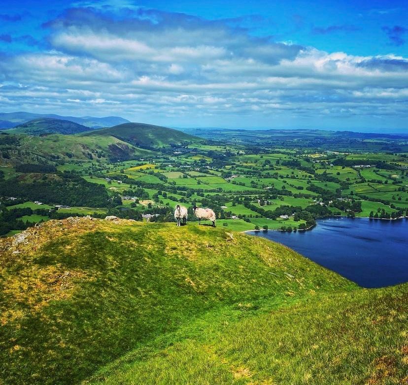 Baa-rilliant scenery this fine #TouristTuesday

📍Ullswater - The Lake District
📸@katystravels888 on Instagram