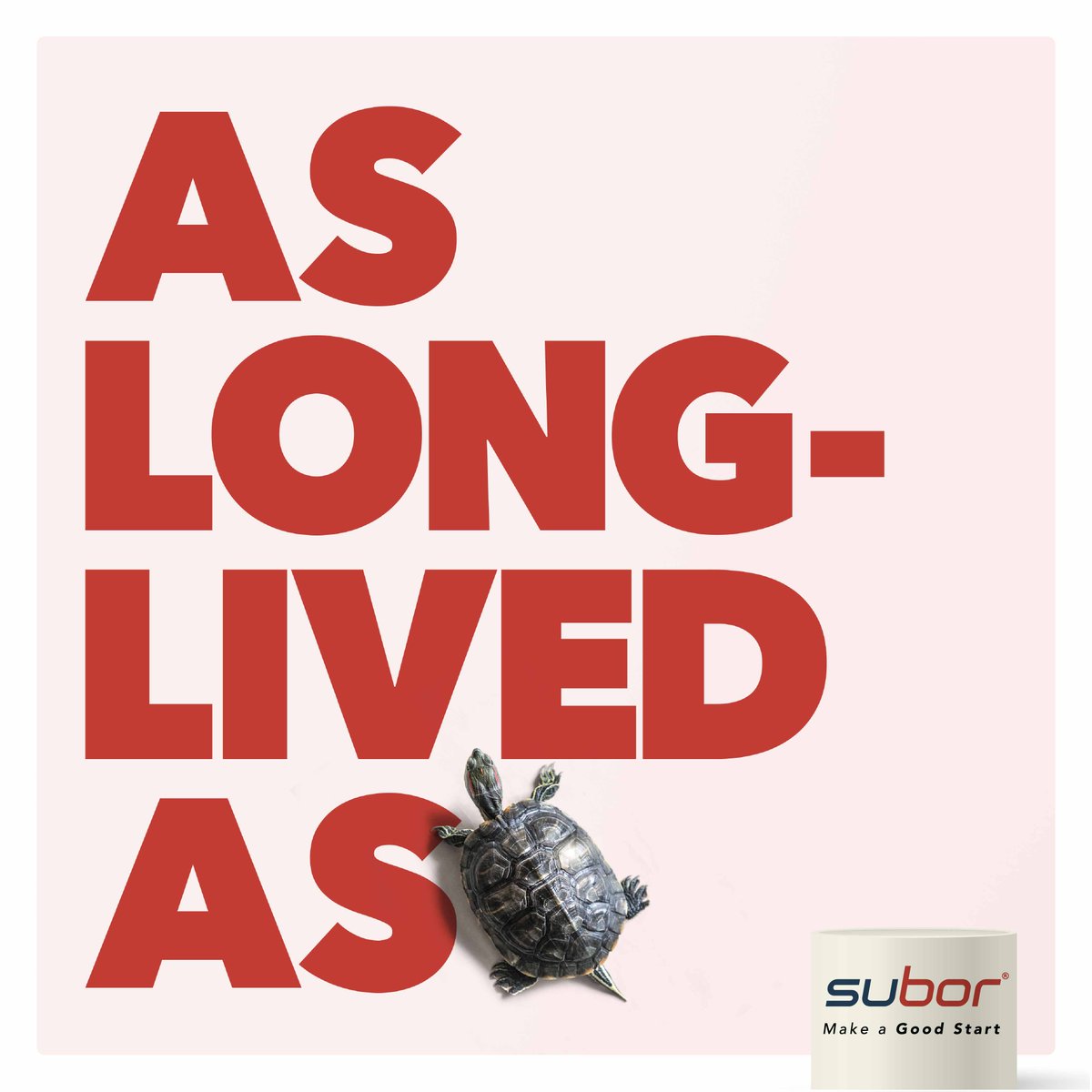 SuborPipe's tweet photo. SUBOR GRP Pipes are designed according to the results of Long Term Tests in compliance with international standards. Therefore, SUBOR products maintain their first-day performance even after 50 years of service life.
rur.

#subor #suborpipe #pipesystem #GRP #GRPpipe #PRV #TubePRV https://t.co/2TiEMbTGWg