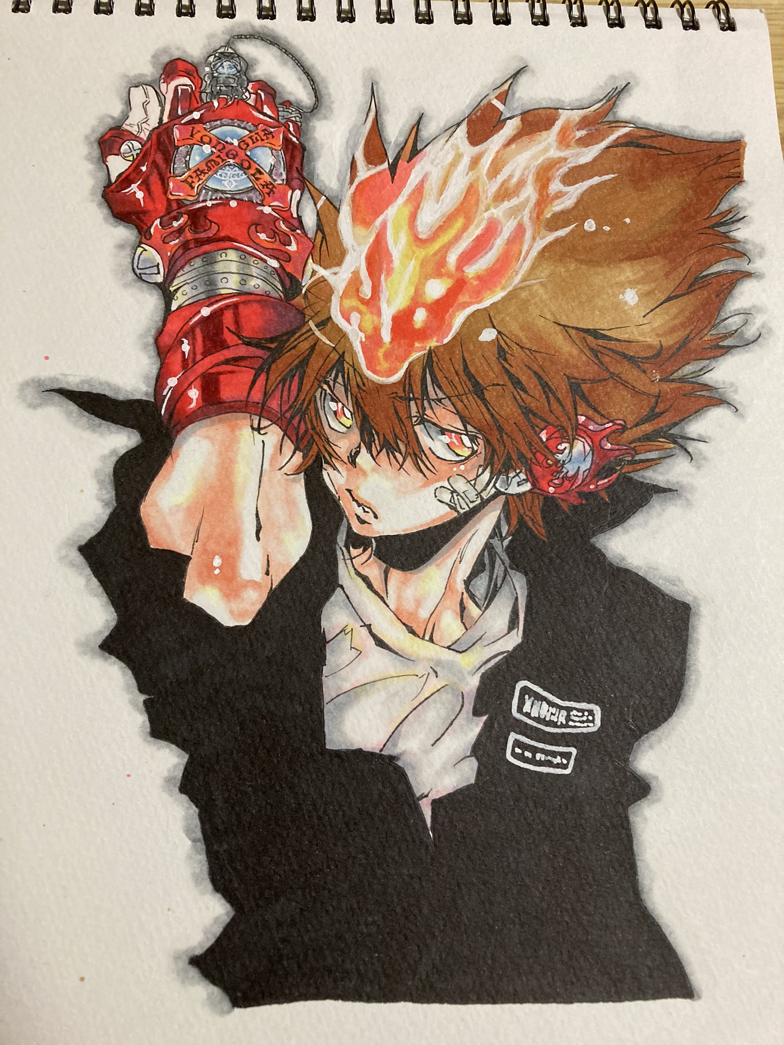 家庭教師ヒットマンREBORN!　沢田綱吉　ツナ　クリアポスター　原作絵 家庭教師ヒットマンREBORN! 沢田綱吉 ツナ クリアポスター 原作