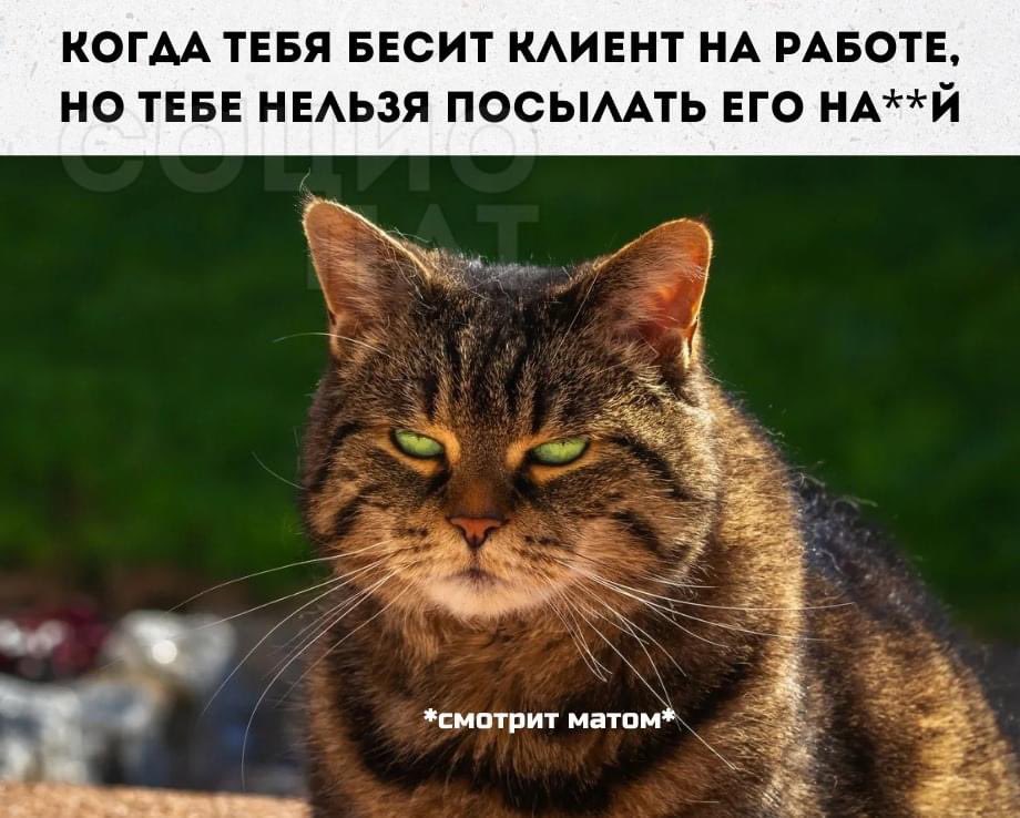 BlckCrss's tweet image. #meatwork