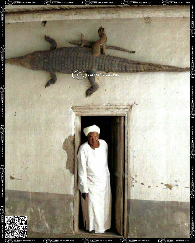 OldAswanPics's tweet photo. رجل أمام بيته وفوقه تمساح محنط 

#Old_Aswan_Pics_2 #Aswan https://t.co/beBPQ6htnA https://t.co/eQvVZHN1ug