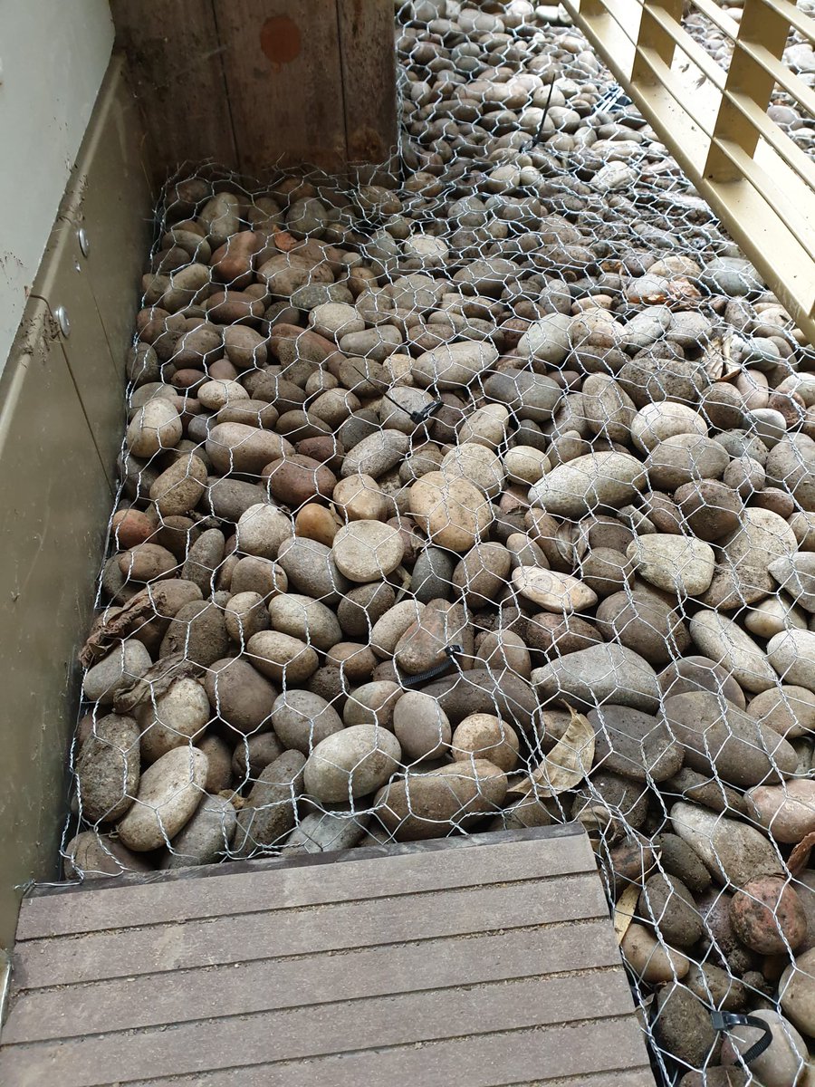 fullerandthomas's tweet photo. Stone retaining wire to ensure no stone goes a wandering!! #fullerandthomas #loveconstruction #stoneretaining #landscaping #groundwork #communalarea #roofgarden #ecogreenroof #london https://t.co/4M3F59ryar