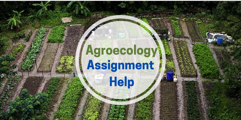 Best Assignment Expert tweet media