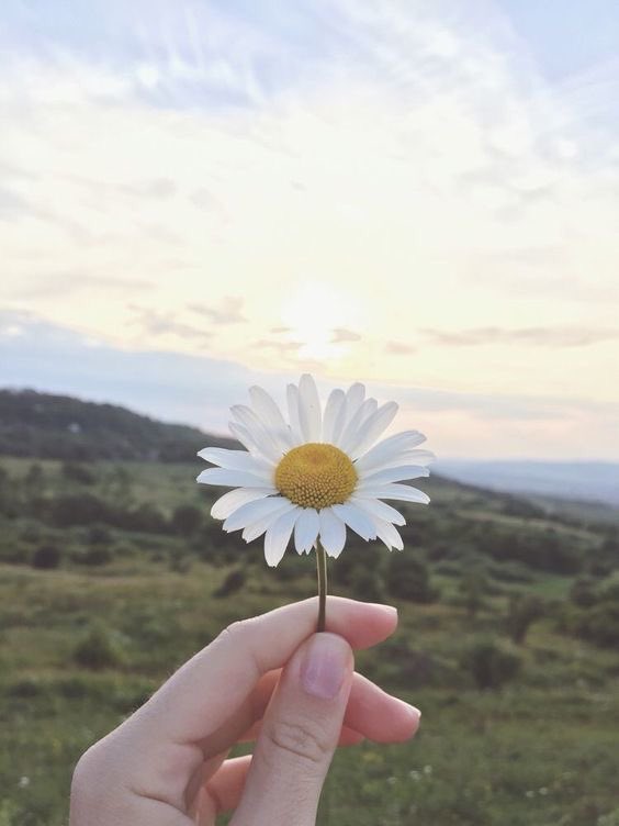 1990s62114562's tweet photo. แล้วมันจะผ่านไป ไม่ต่างอะไรกับฤดูกาล
 • 🏔 
———————————————

#แคปชั่น #แคปชั่นกวนตีน #แคปชั่นเสี่ยว #คําคม #คําคมชีวิต #คําคมภาษาอังกฤษ #แคปชั่น2021 #แคปชั่นความรู้สึก #แคปชั่นธรรมชาติ #แคปชั่นโดนๆ https://t.co/JSRSMqIGvC