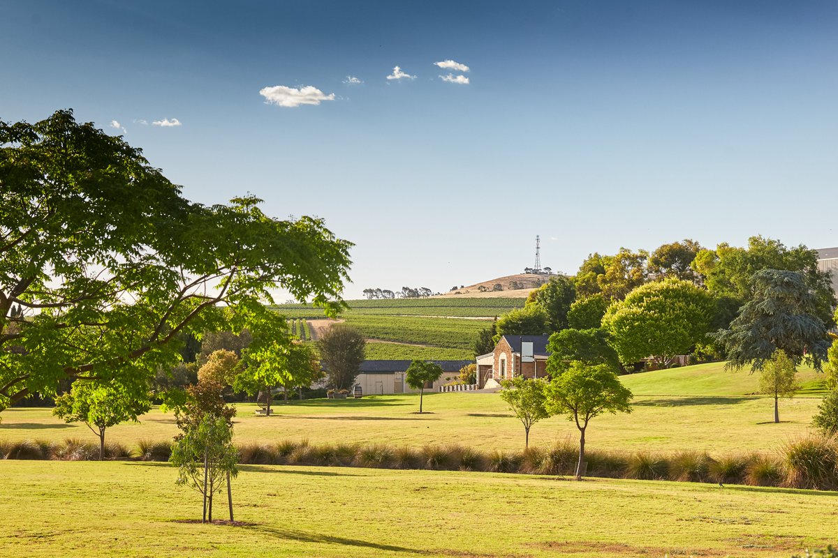 LouisLatourUK's tweet photo. Based in the Clare Valley, Wakefield have planted 14,000 trees under a reforestation program to offset their carbon footprint.
For more information please visit https://t.co/VVyS4QPeWy.
#sustainablestories #lladrinks #wakefieldwines #aussiewines #ozwines #clarevalley https://t.co/ING6CGfAwd