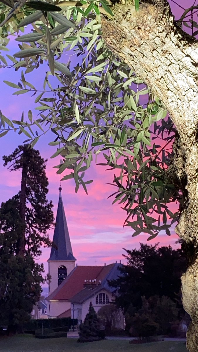 Go dépistage et pas seulement en octobre 🎀 #OctobreRose2021 #AXAAtoutCoeur <a href="/institut_curie/">Institut Curie</a> <a href="/AXAFrance/">AXA France</a>