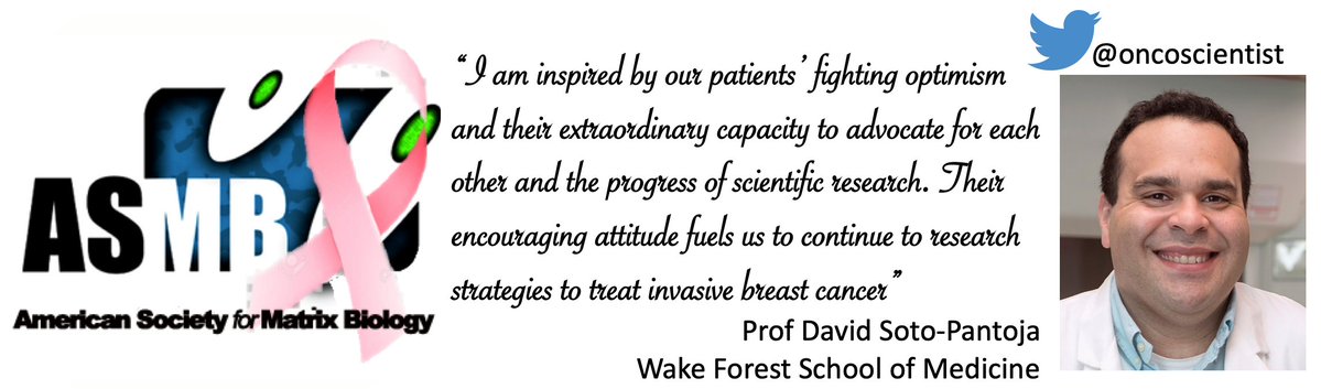 amsocmatbio's tweet photo. #BreastCancerAwareness month! ASMB member David Soto-Pantoja @oncoscientist @wakecancer is focussed on developing strategies targeting #matricellular protein interactions, to enhance anti-tumor #immune responses to prevent+treat breast cancer metastasis ๐
https://t.co/egTNnhmlaH https://t.co/HYK2oZRz8R