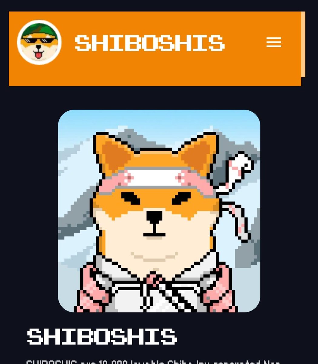 Bre80943264's tweet photo. @ShibainuCoin @ResearchJapan1 how much does that karate one cost and where can I buy it? #SHIB #shiba https://t.co/Ewf7XXugQG