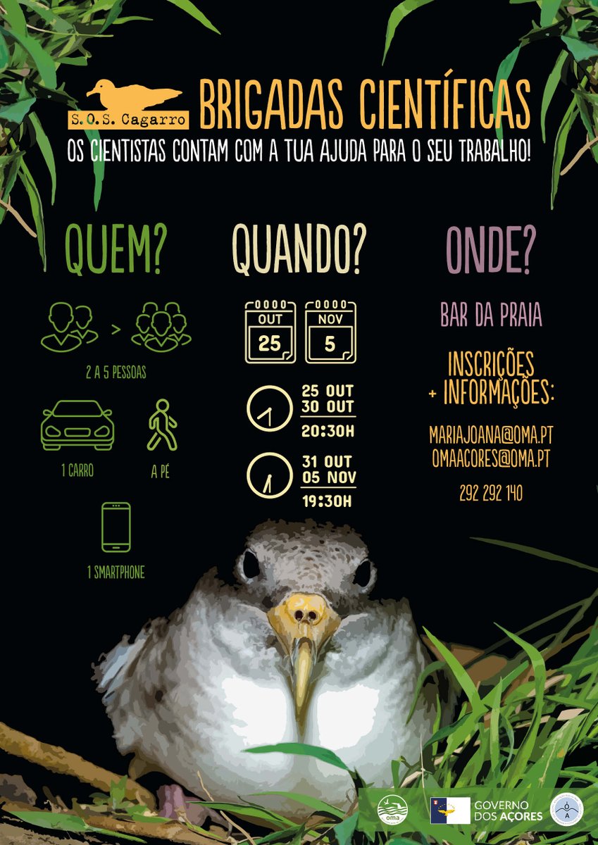 FRCTAzores's tweet photo. Os cagarros já começam a cair e os cientistas precisam da ajuda de todos para os salvar!
Se está no Faial, inscreva-se nas Brigadas Científicas!
Inscrições 📩 mariajoana@oma.pt @OAcores ☎️ 292 140
Salve um Cagarro, faça um amigo!
#SOSCagarro https://t.co/Tc5SwF4ZOk