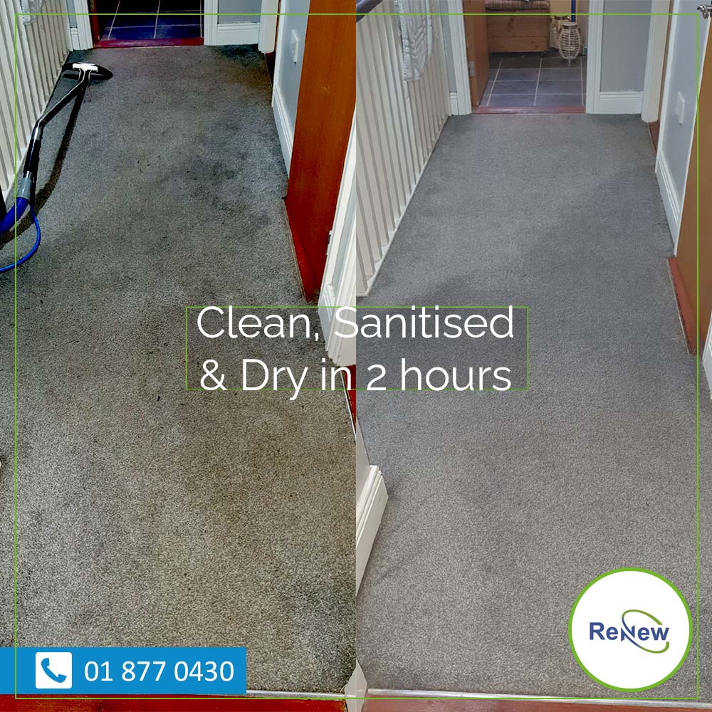 Renew Carpet Cleaning (Renew_Cleaning) Twitter