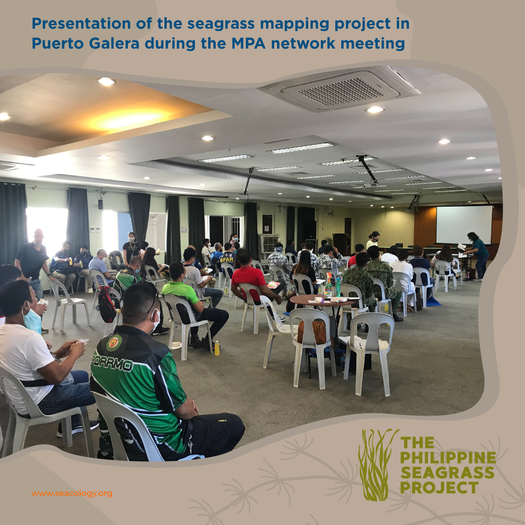 Seagrass protection should start within the locality.

We are always delighted to see authorities actively participating in the preservation of natural resources, especially seagrasses.

Learn more: bit.ly/seacology-puer…

#TPSP #seagrassawareness #seagrassconservation