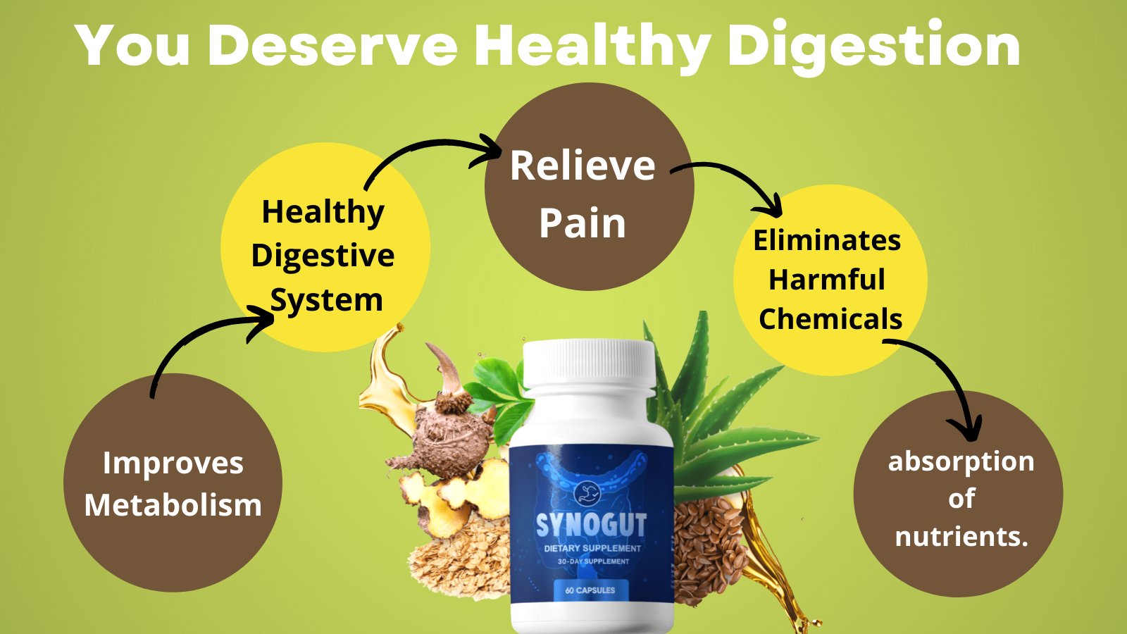 SynoGut Reviews