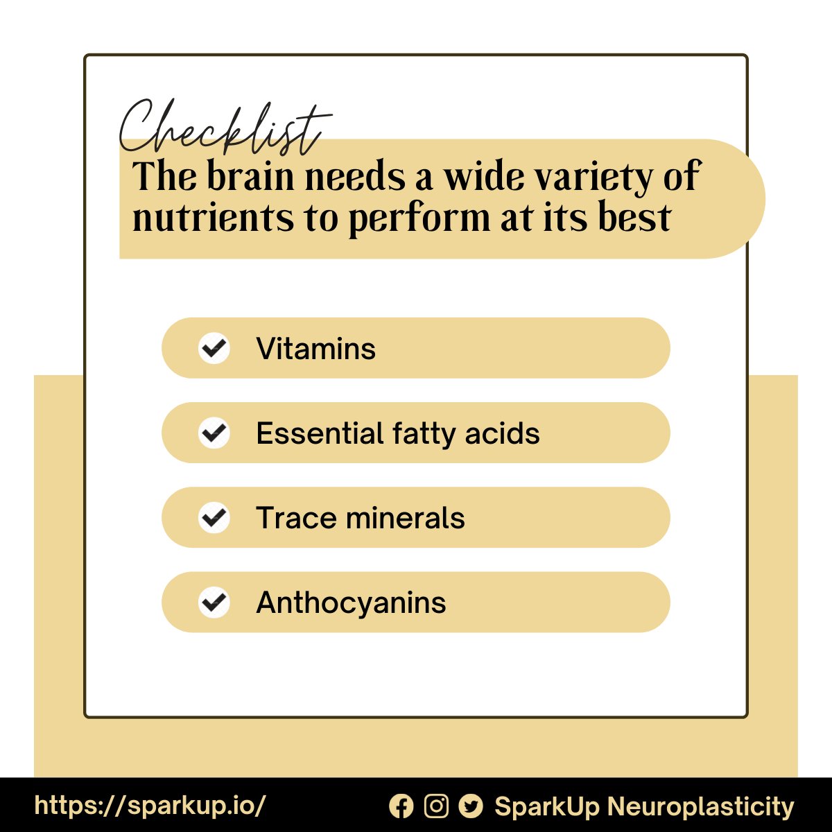 SparkUpNeuroplasticity tweet media
