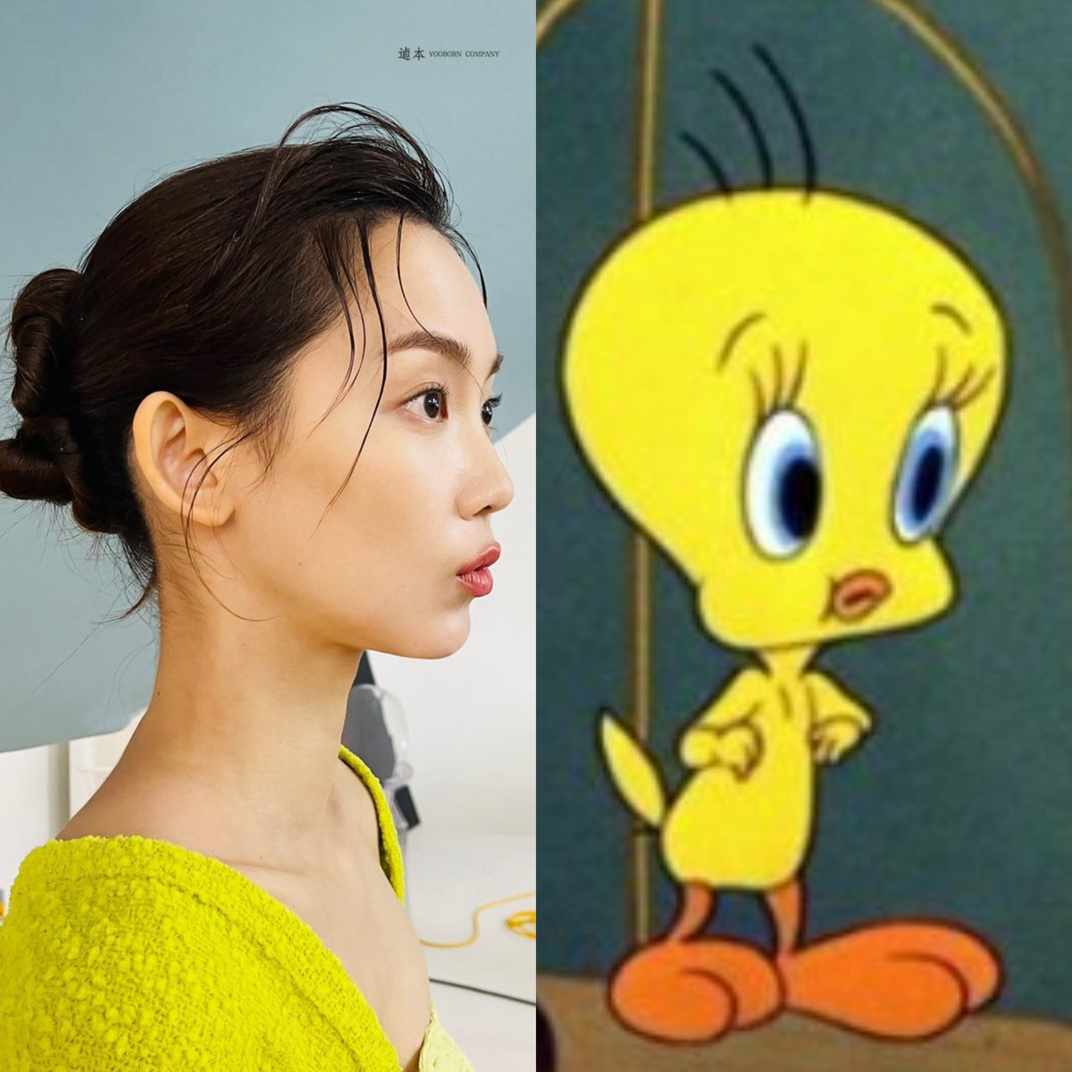 트위티 닮은 사람 특징
: 항상 성실하고 다른 이를 배려할줄 알아 대인관계가 원만하며 다재다능하여 다수의 사람들에게 인정을 받고 맡은 일에 최선을 다하며 특출난 끈기를 가졌고 항상 노력하며 타고난 심성이 곱고 내가 좋아함