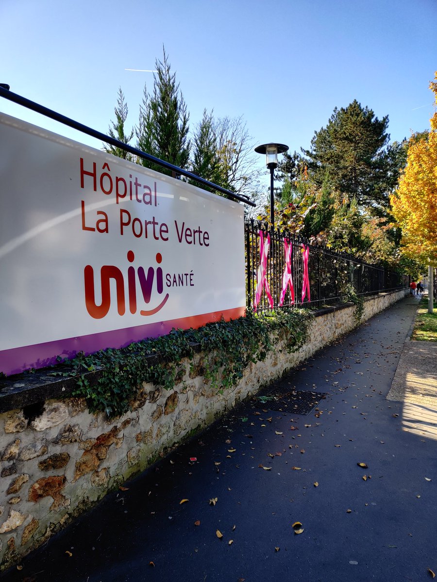 HopLaPorteVerte's tweet photo. Bienvenue à la journée #octobrerose @HopLaPorteVerte : venez vous informer tout l'après-midi #CancerDuSein https://t.co/Nw99btEpsl