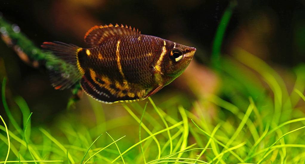 Addictedtofish7 tweet picture