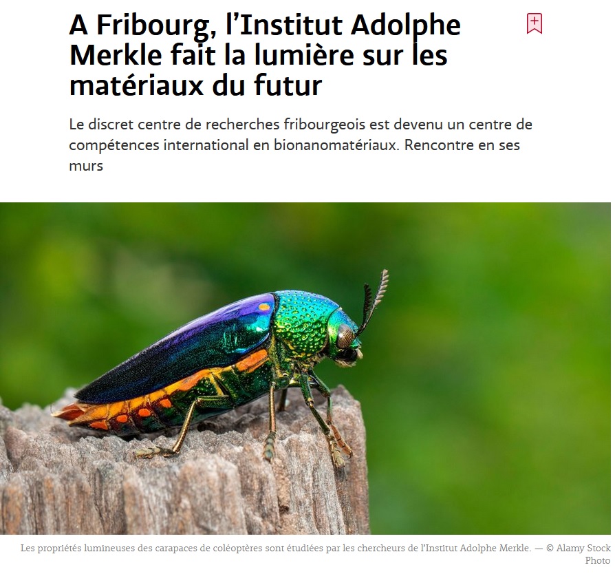 point rencontre fribourgeois