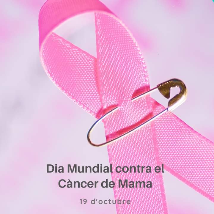 19 d'octubre: Dia Mundial Contra el Càncer de Mama 🎀

Una lluita en la que caminem i caminarem sempre unides i units 💪💕

#CitesACegues #DiaMundialcontraelCàncerdeMama #SumatalRosa #Latevalluitaéslamevalluita #Prevenció #Investigació #BreastCancer