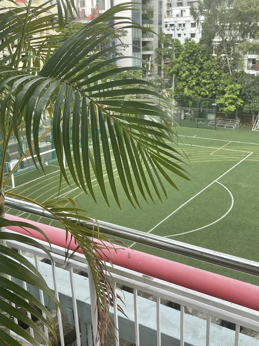 coachdeneef's tweet photo. 3 stories, 3 times a day @ 10min a pop = 30 minutes of exercise and a regular chance to take stock of the facilities, people and programs on campus #adwalk @AISD_Tigers @AISDhaka1 https://t.co/ipwesFJzZl