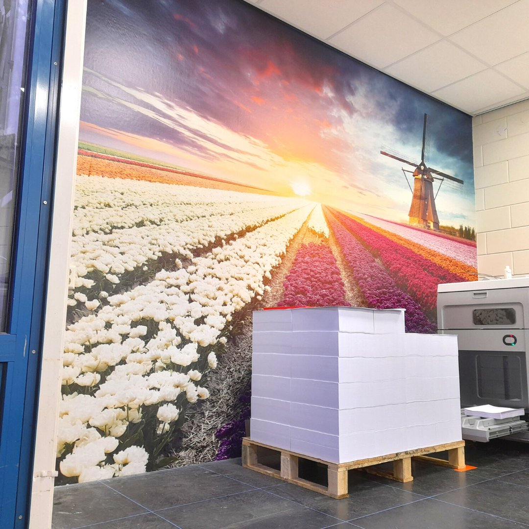 DeBink's tweet photo. We zijn onze afdeling Print & Mail aan het opfleuren. Daar word je toch blij van!
#afdeling #opfleuren #fotobehang #print https://t.co/q0O4RGMubG