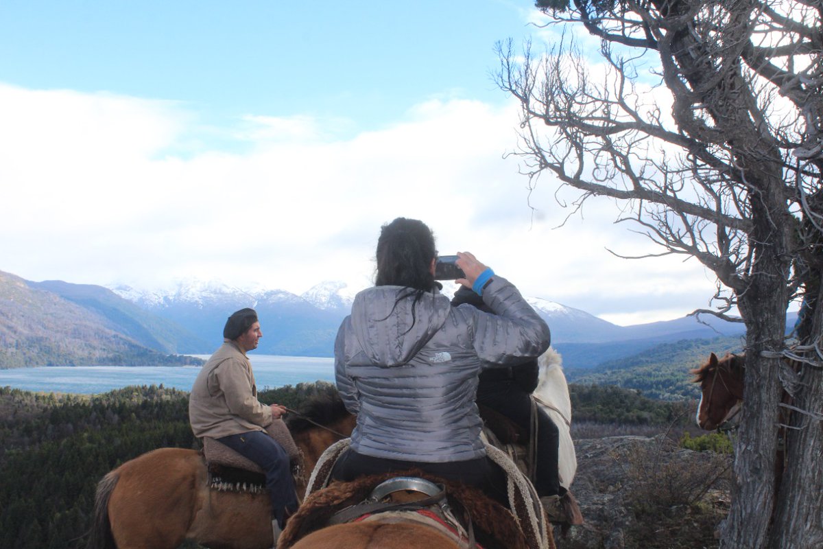 Graciela Inés Gallo tweet media