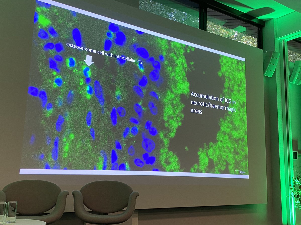 Some outstanding talks from from the morning session of iSPIES #fluorescenceimaging #icg @StrykerPRS @StrykerEndo @Stryker_ST