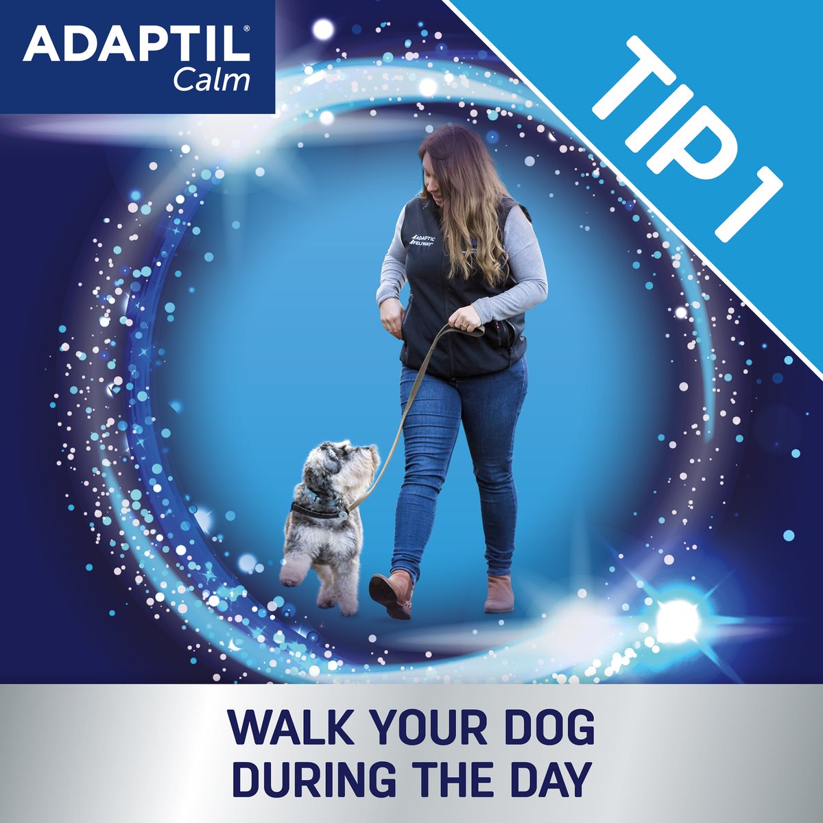 DalesideVets's tweet photo. Firework Tip Number 1🎆
If your dog is worried about fireworks it’s best to take them out for their daily walks during the day and keep them indoors after dark when fireworks are likely to go off https://t.co/WqQqlvIBIt