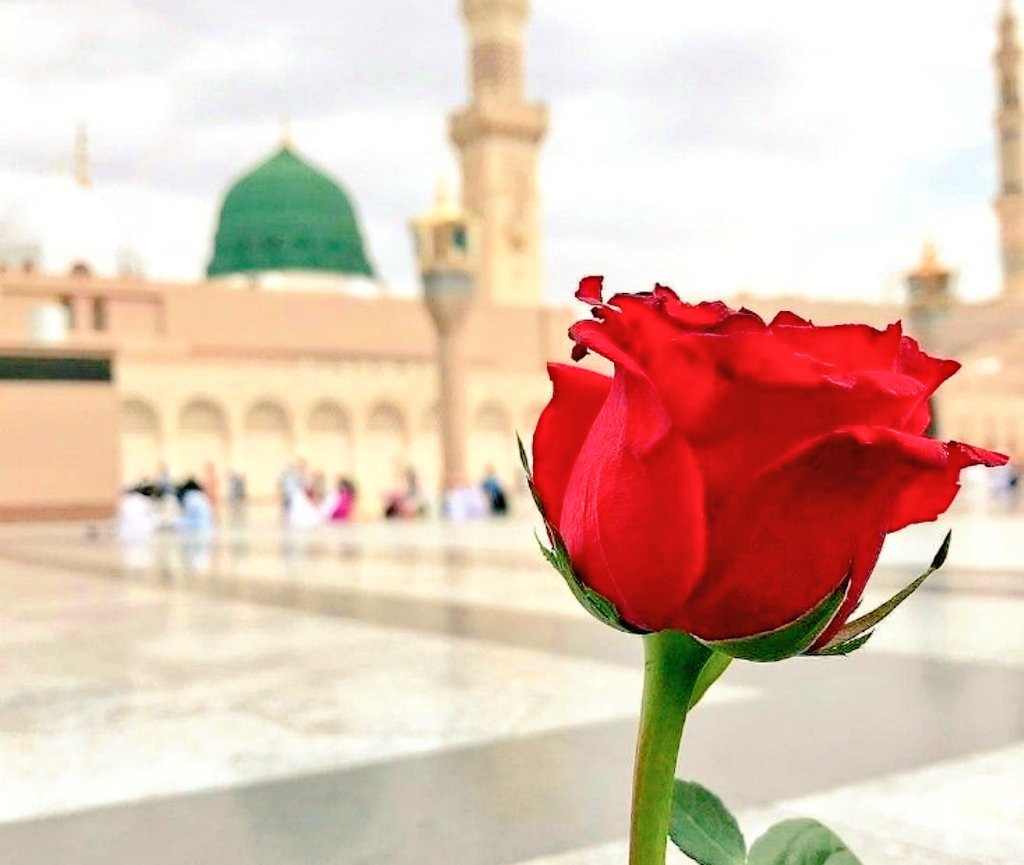Kamran_Alee2's tweet photo. جن کے آنے سے روشن زمانہ ھوا ✨
اس نبی کی ولادت پہ لاکھوں سلام
صَلَّی اللّٰہُ عَلَیہِ وَسَلِّم💖

#Eidemiladunnabi 💐 https://t.co/9s9yWXQ1B4