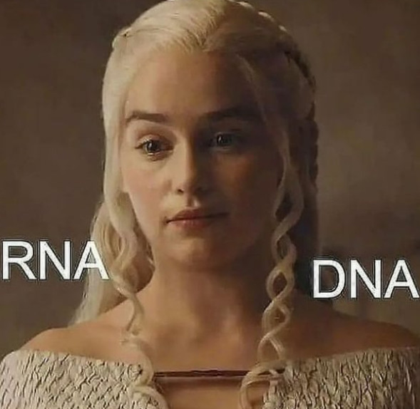 #DNA vs #RNA