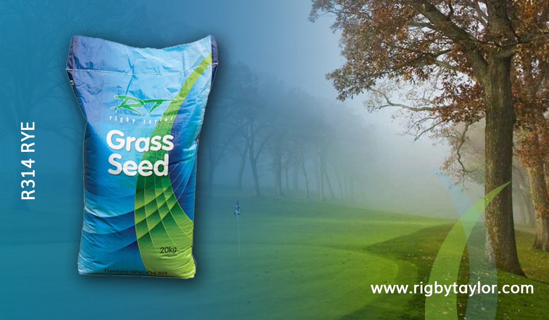Do you need urgent seeding repairs? 

R314 Rye is the ultimate cold temperature ryegrass blend, germination from just 4°C with amenity annual and tetraploid ryes.

Find it here 👉 rigbytaylor.com/product/grass-…