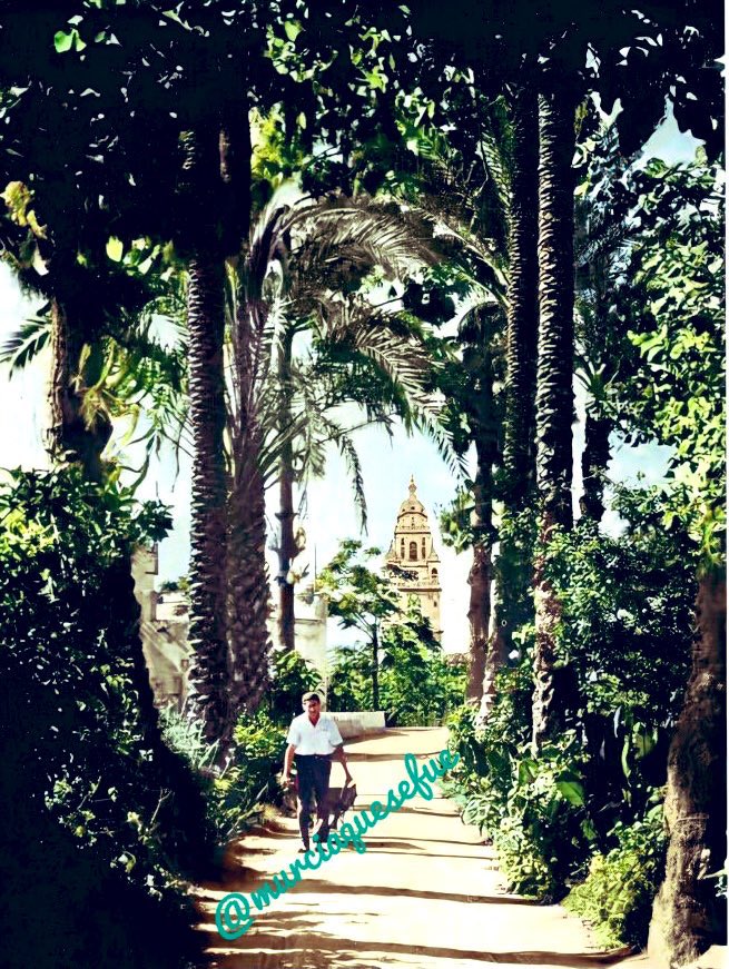 Tal día como hoy hace 500 años empieza a construirse la torre de la catedral de Murcia.