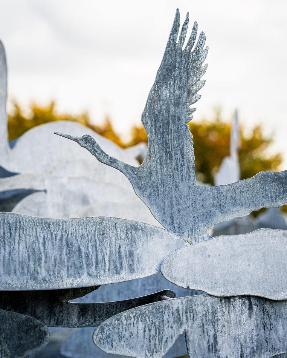 WWTSlimbridge's tweet photo. An exciting new arrival has landed...🦆🌿🌊

@IanGSculpture's wetland-themed 'Nest' has landed on the A38 roundabout, as part of our #Slimbridge75 project ✨

For more info on this fantastic artwork, click here: https://t.co/SREqwJG8sM https://t.co/Zx1BjuNhJL
