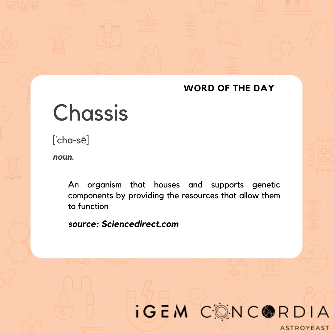 #Wordoftheday #Chassis