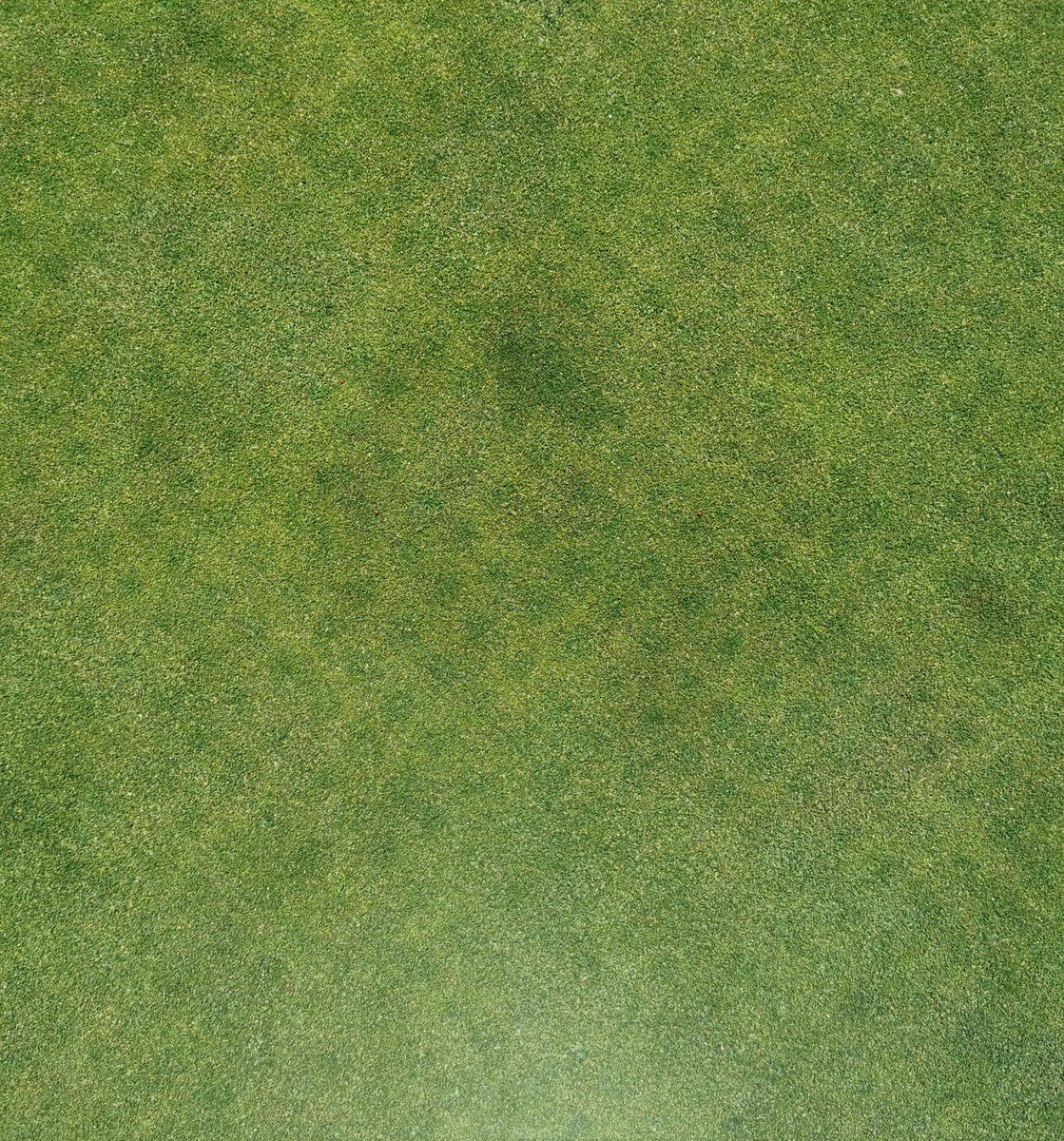 Milnerton_Golf_Club tweet media