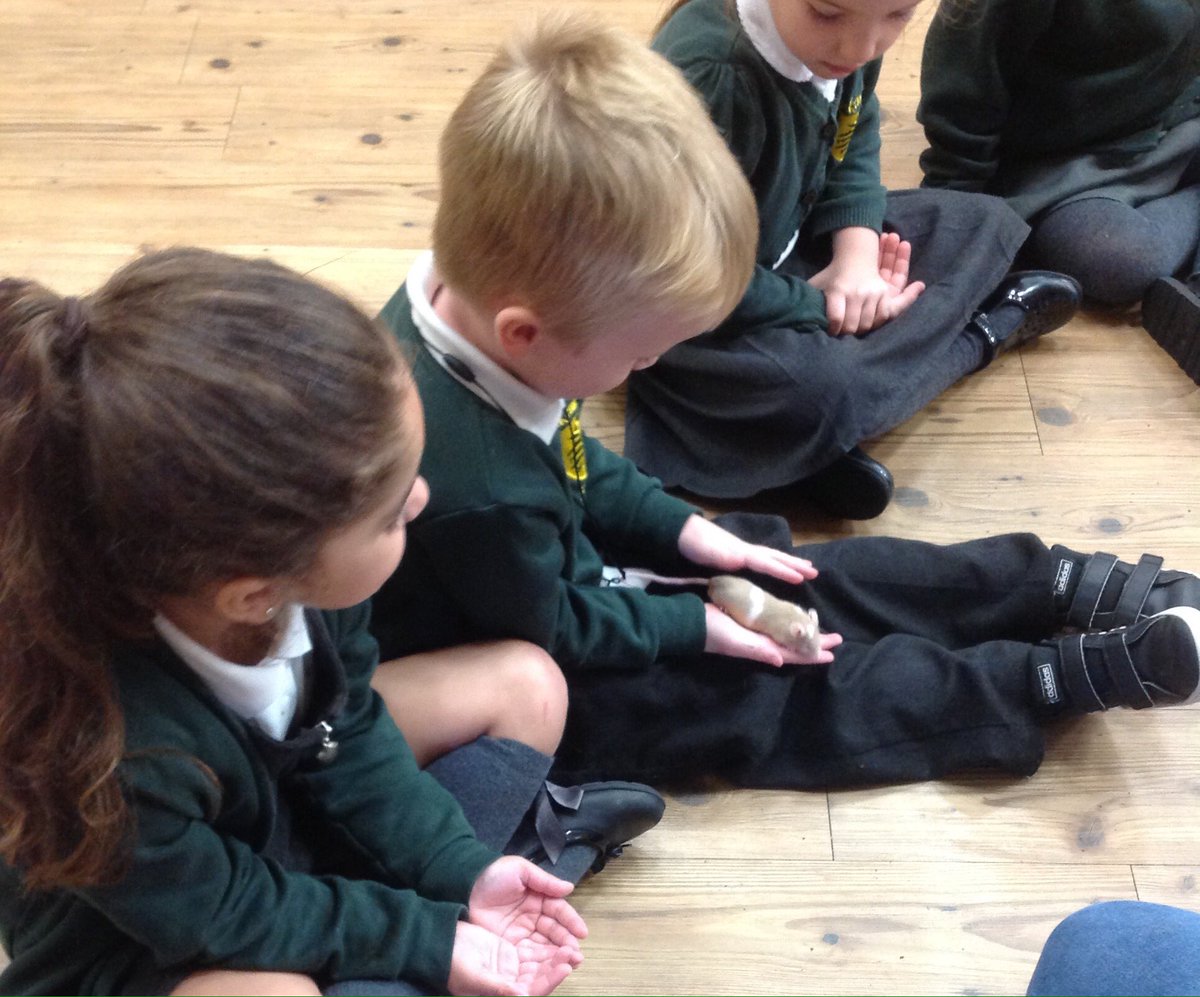 Brackenwood_Inf's tweet photo. F2R had a wonderful time at their "Paws, Claws and Whiskers" workshop this morning. Thank you so much #AnimalsTakeOver https://t.co/2YUQZDlZTn